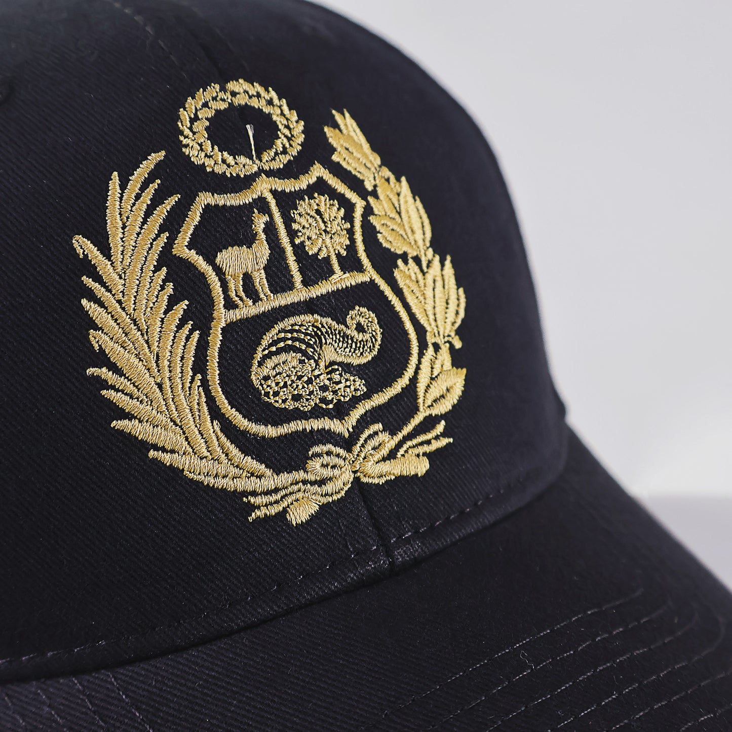 Escudo Cap
