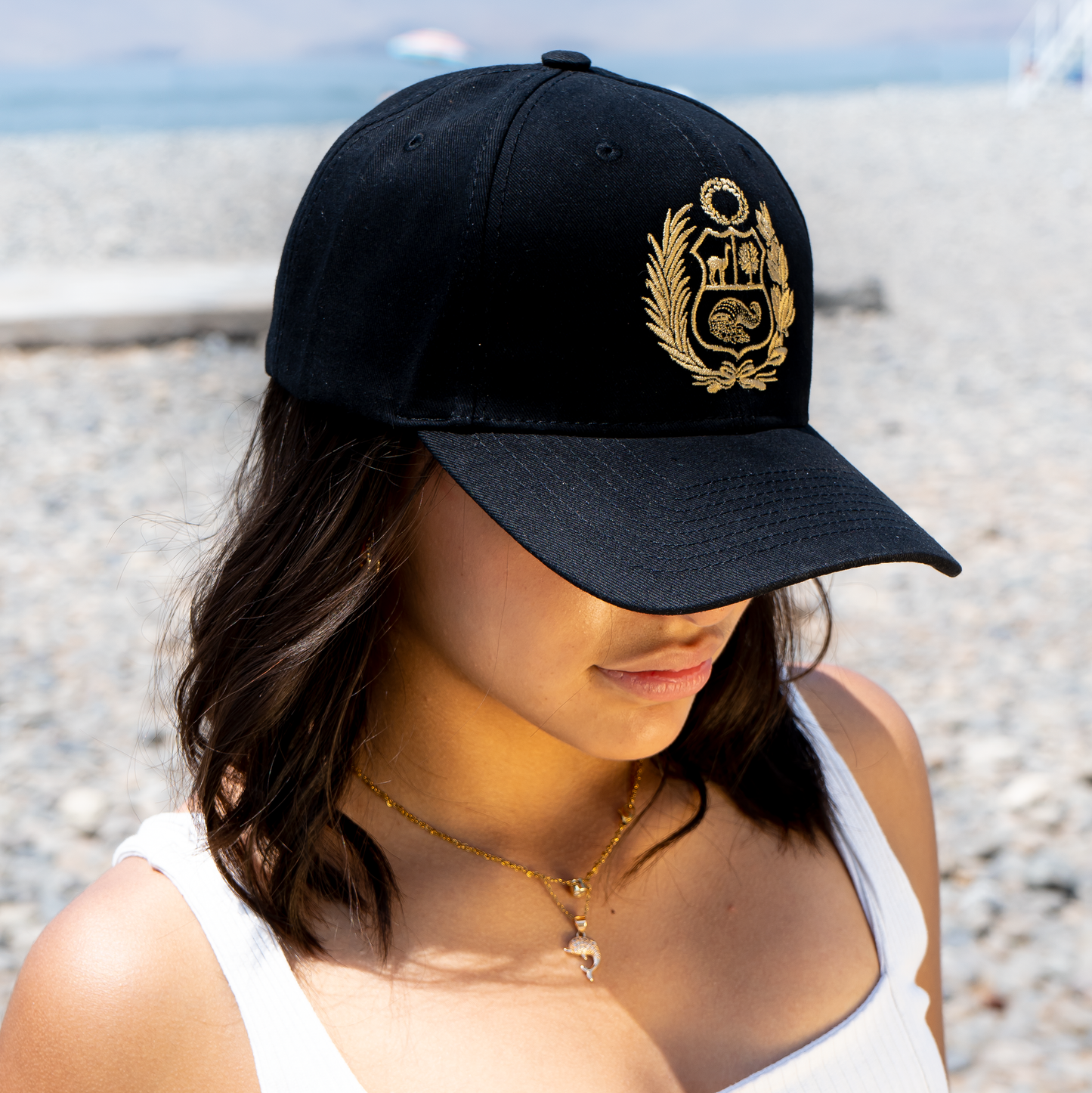 Escudo Cap